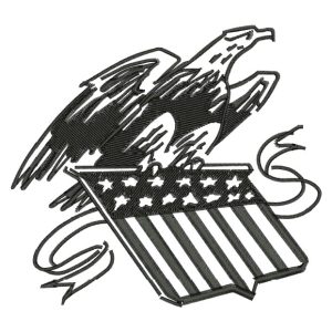 4th of July Embroidery Design